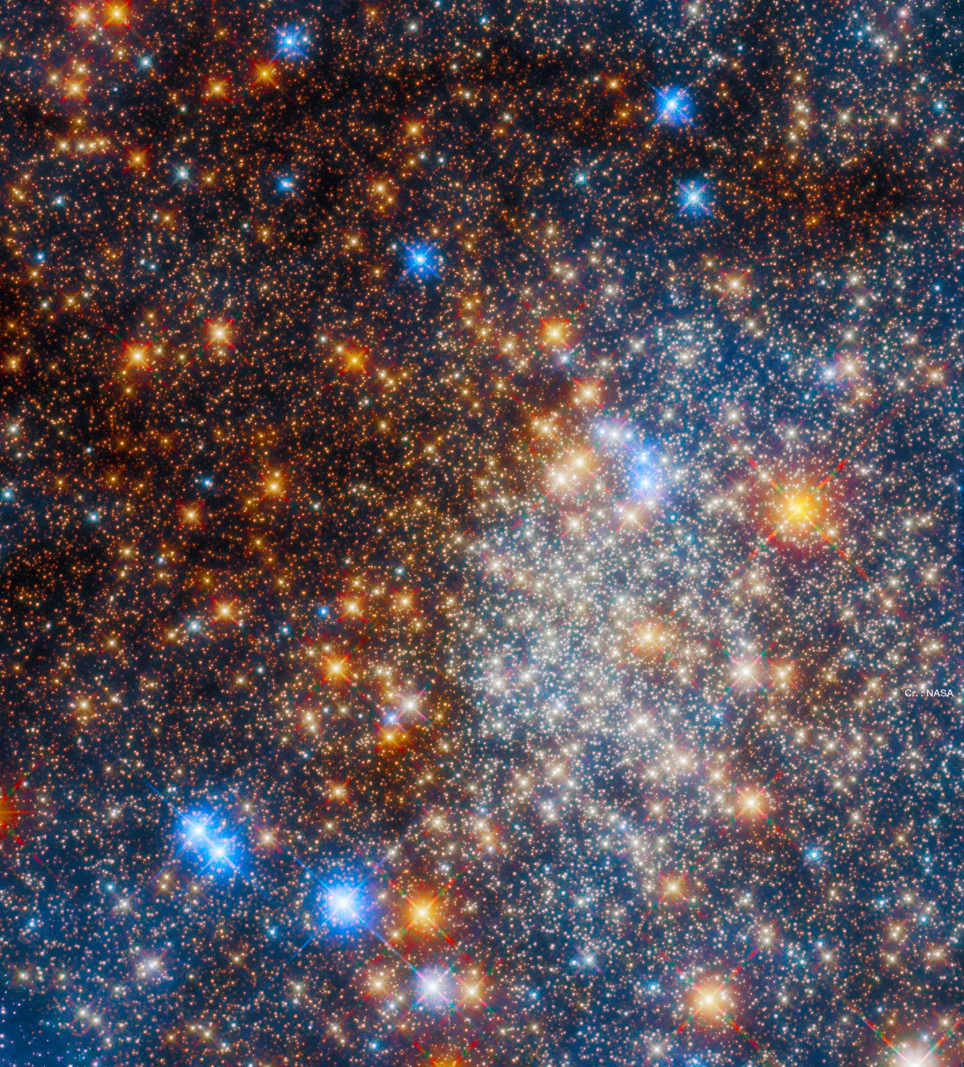 cover-image