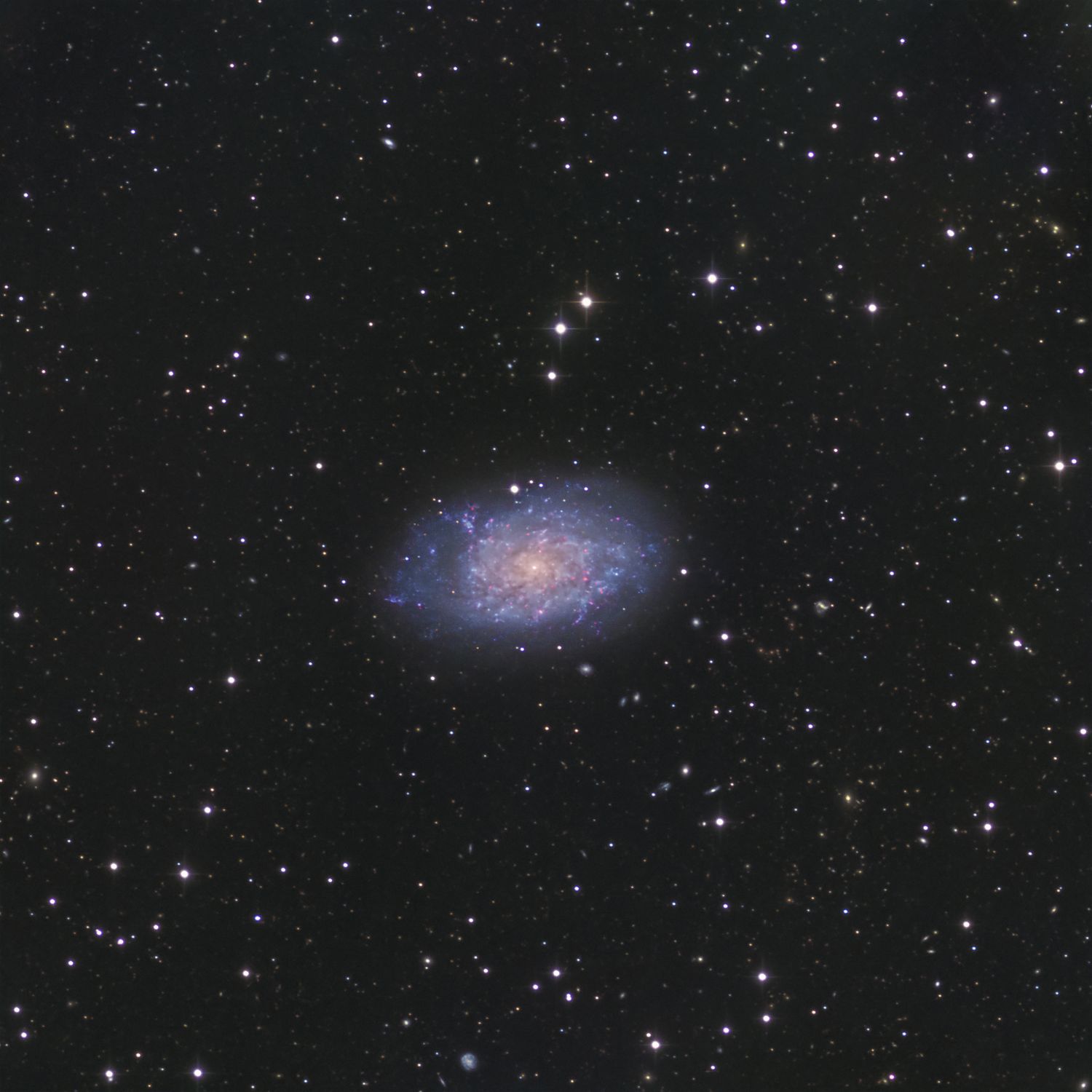 NGC 7793 L RHaGB